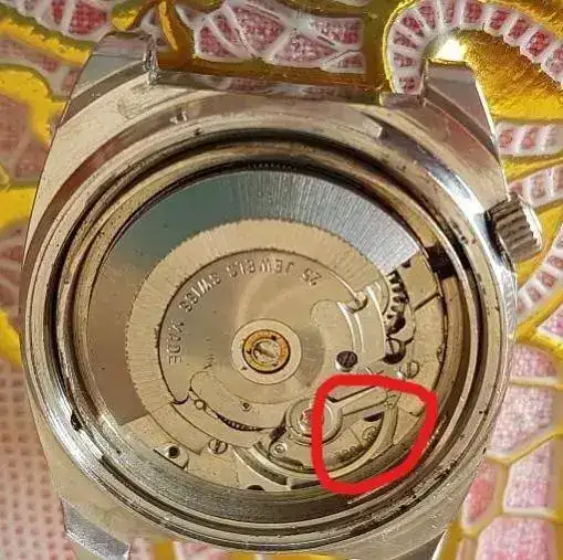 20190406_121022 (2)_LI.webp