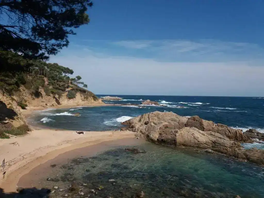 20190406_154752.webp