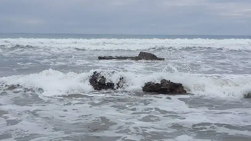 20190419_132505_002.webp