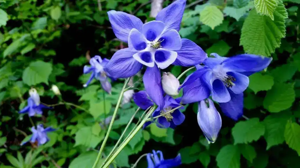 20190521_155416.webp