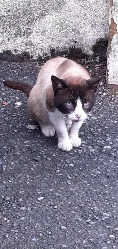 20190726_181433.webp