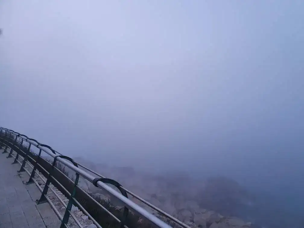 20200312_191442.webp