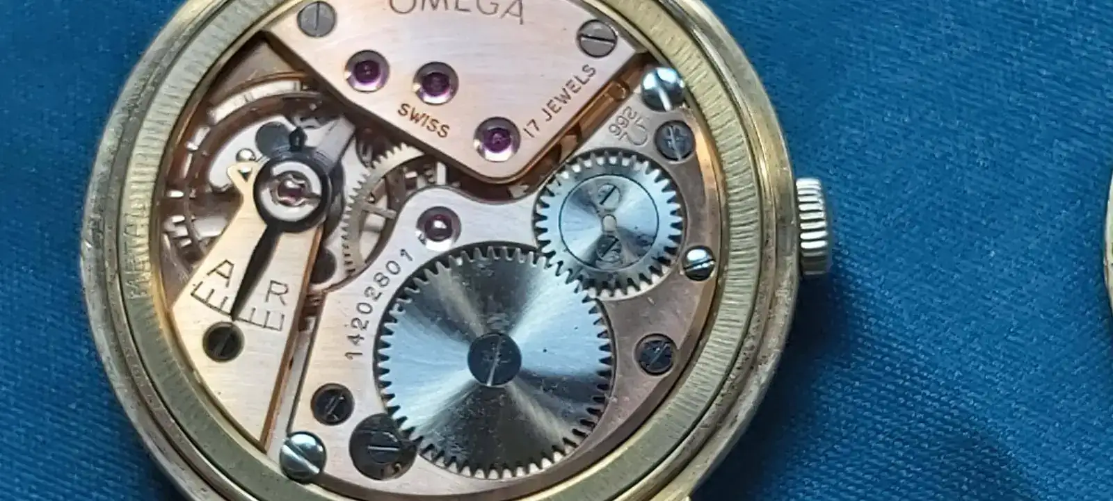 20200823_130508 (2).webp