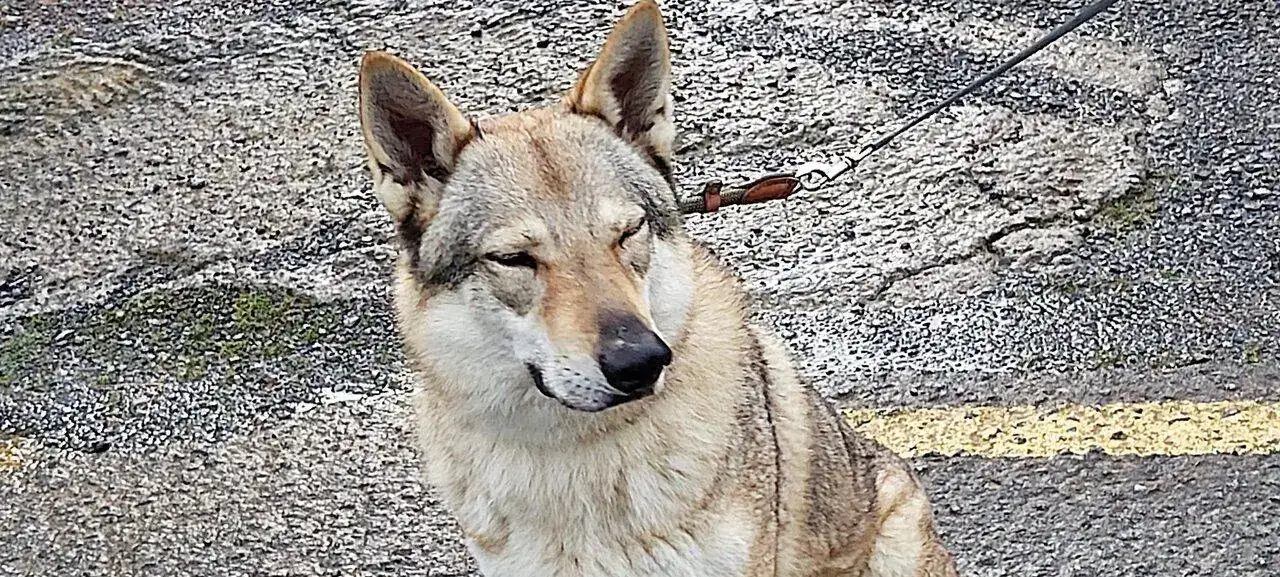 20201208_102530 (2).webp