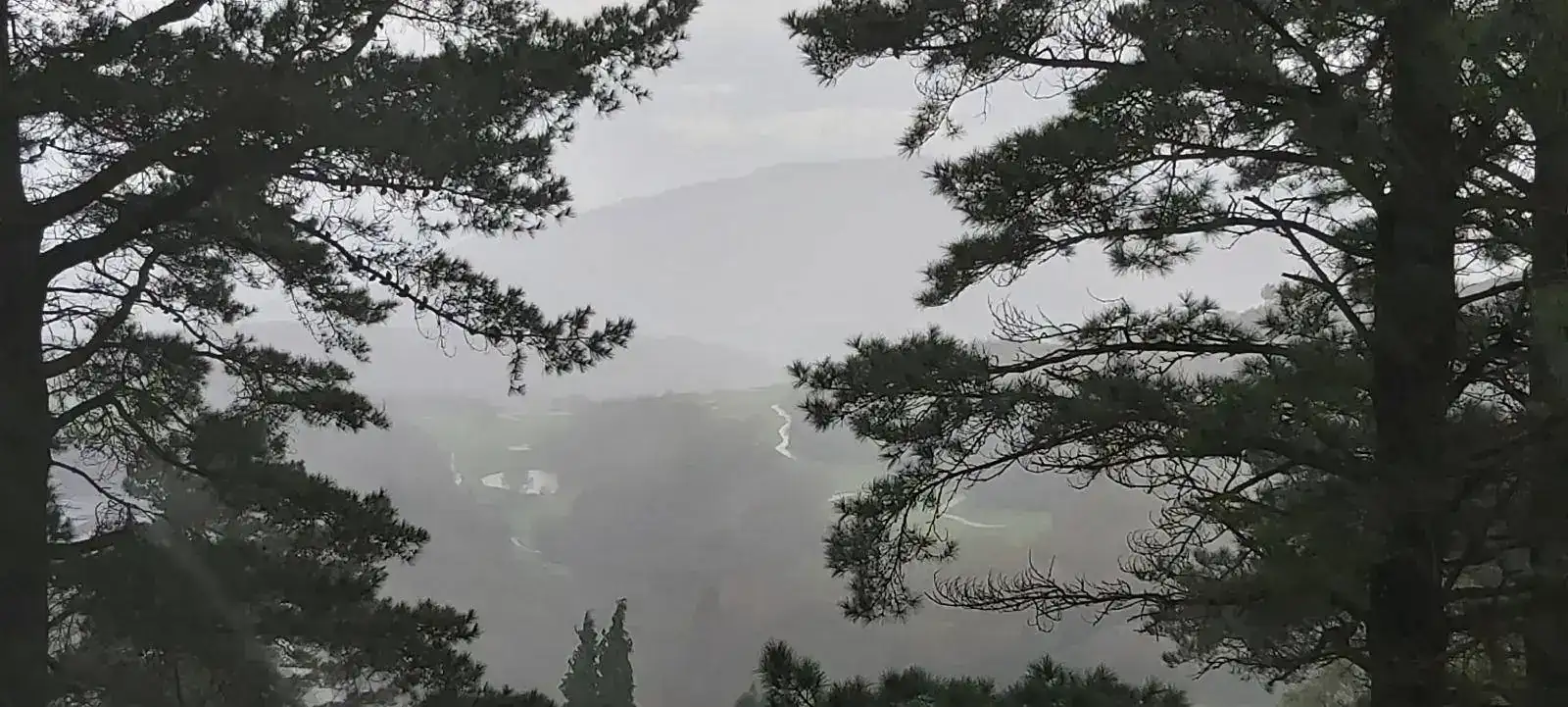 20201208_103109.webp