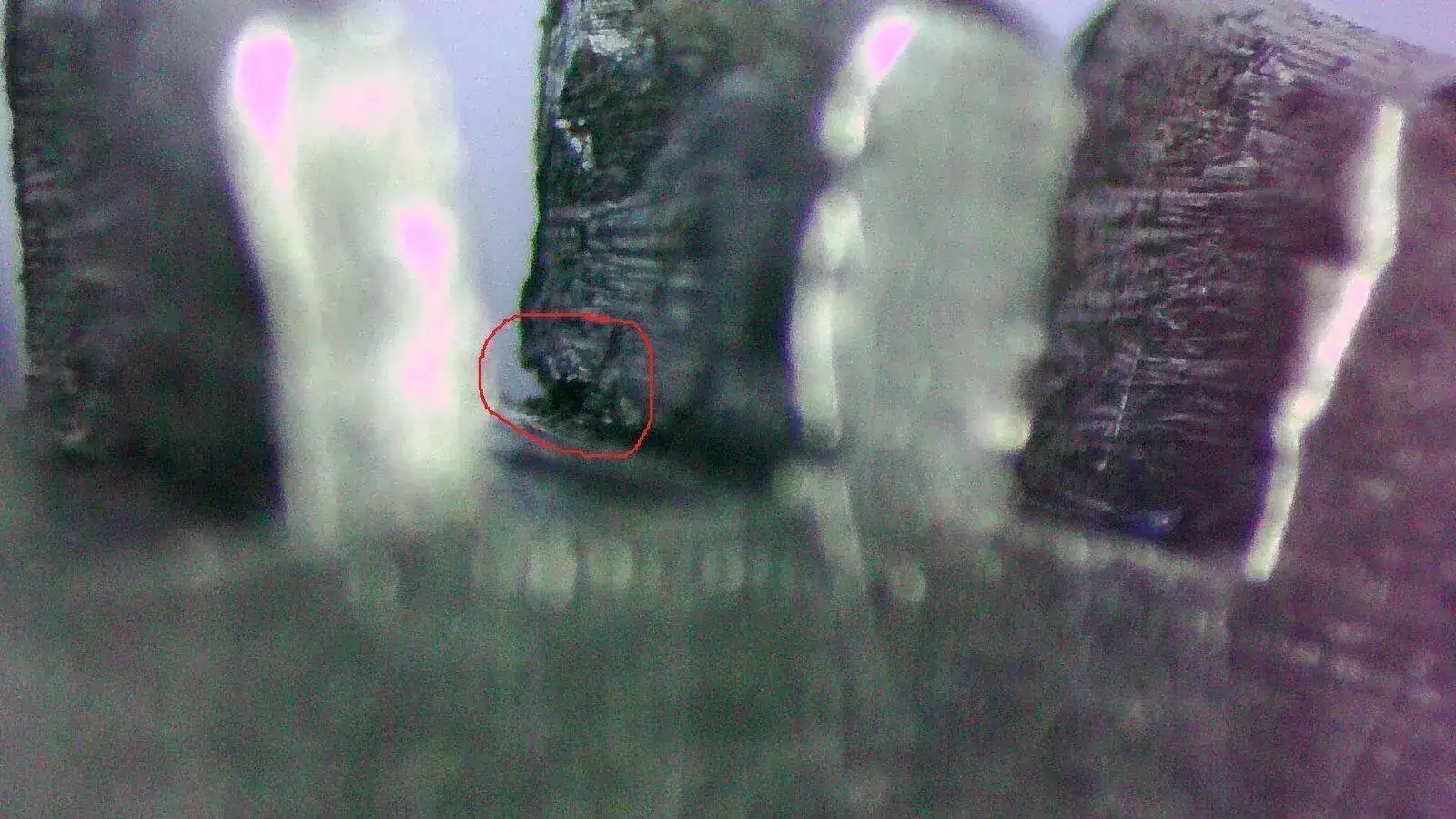 20210130-195356-868.webp