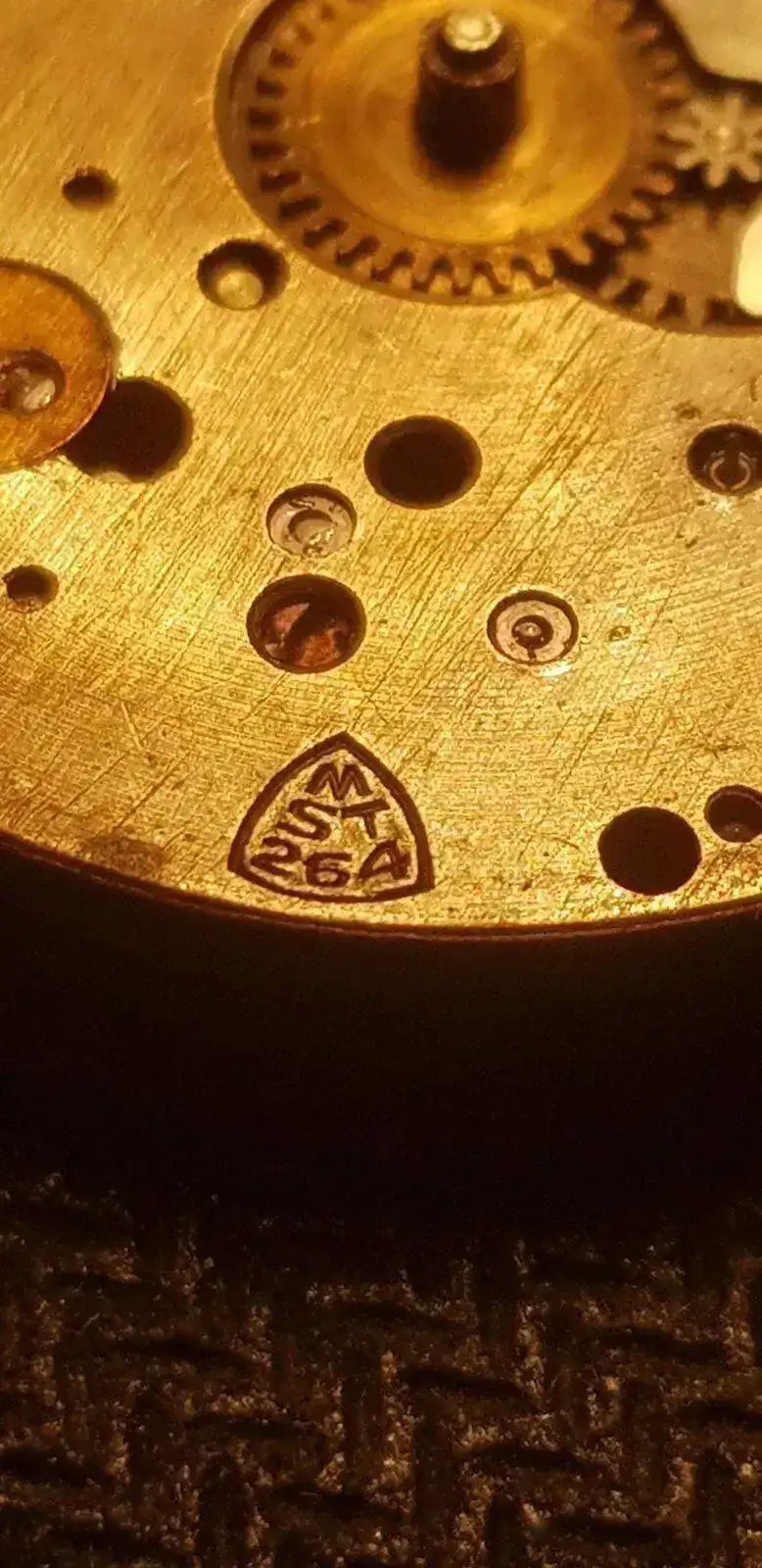 20210219_175616.jpg