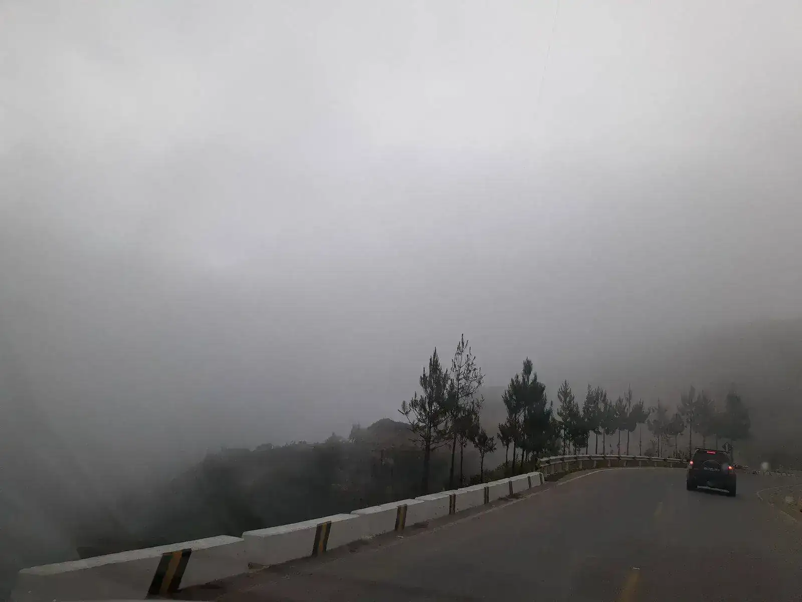 20210222_170537.webp