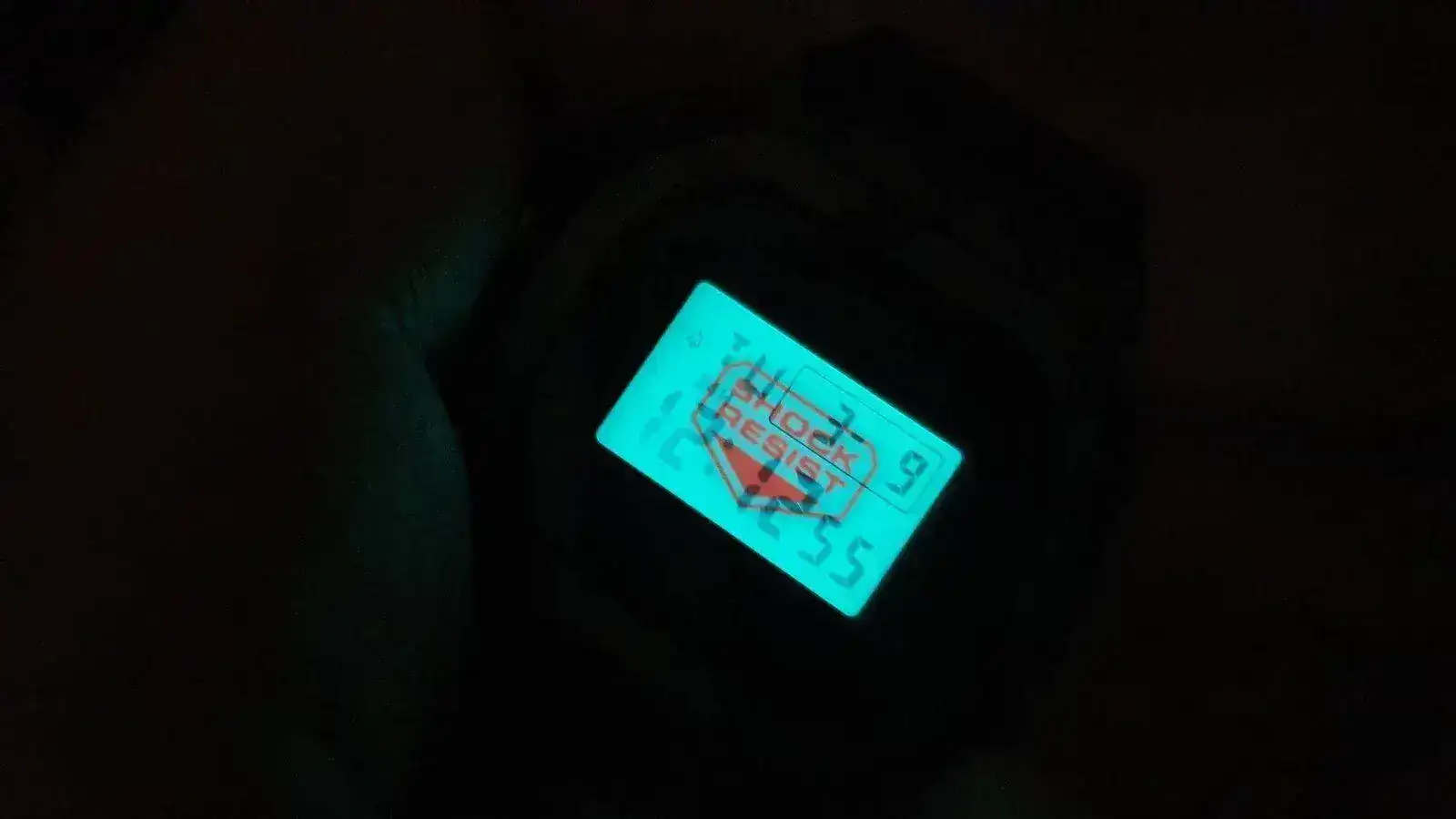 20210309_121259.jpg