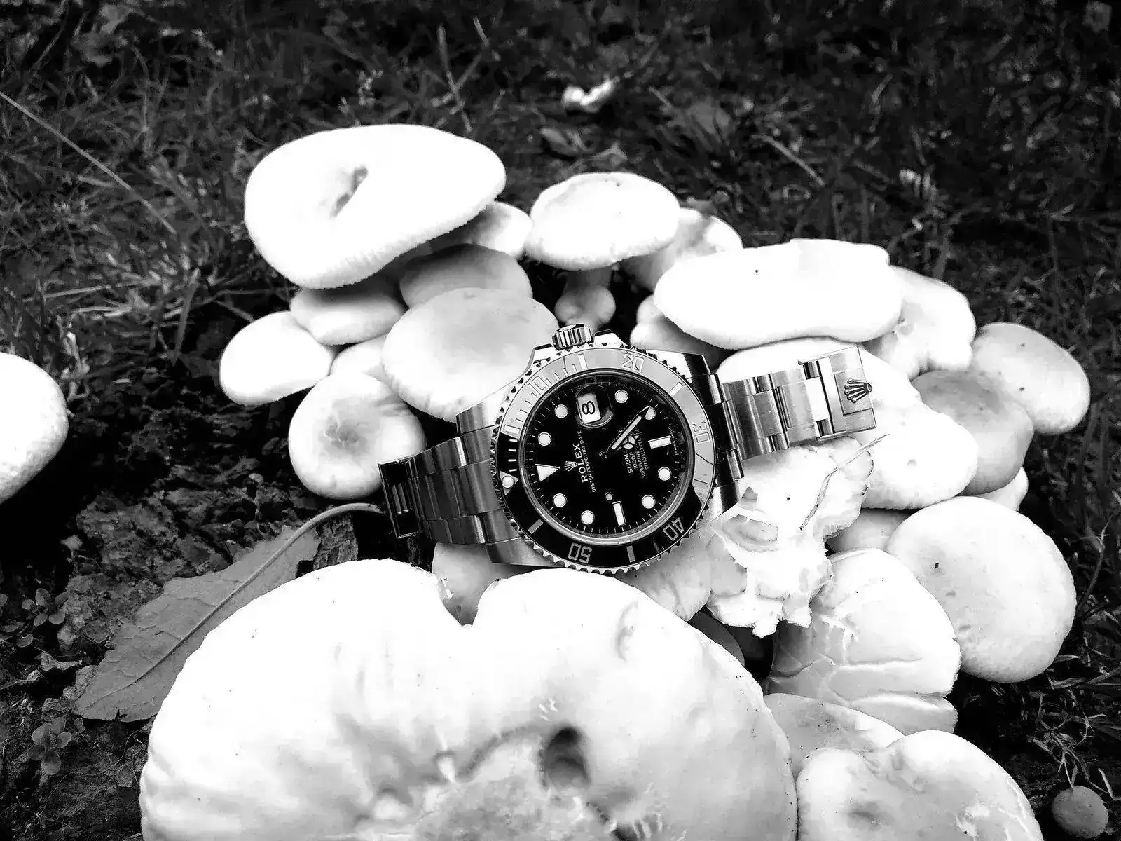 20210309_210237.webp
