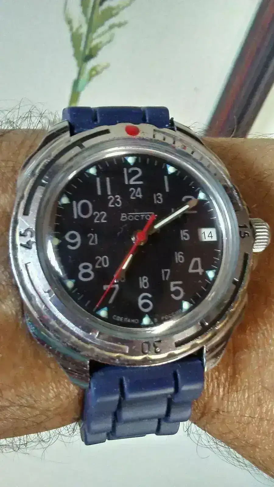 20210326_071010_HDR.webp