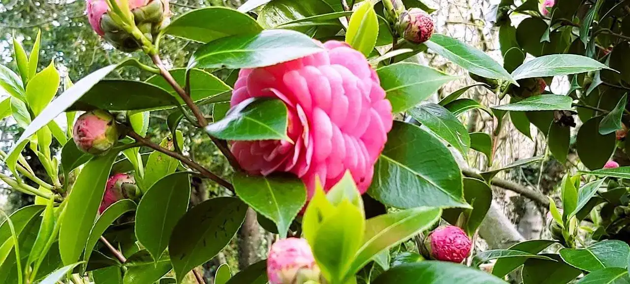 20210329_192839 (2).webp