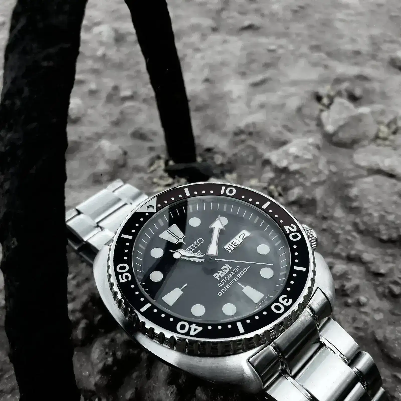20210402_111018.webp
