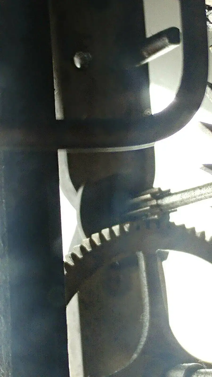 20210529_091129.jpg