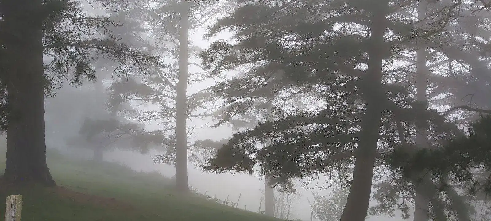 20210529_093103.webp