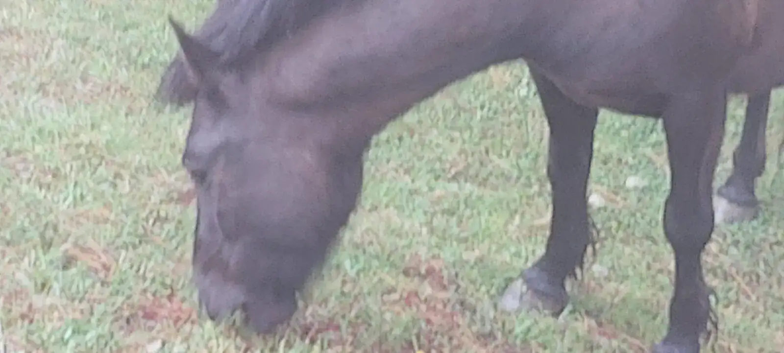 20210529_093523.webp