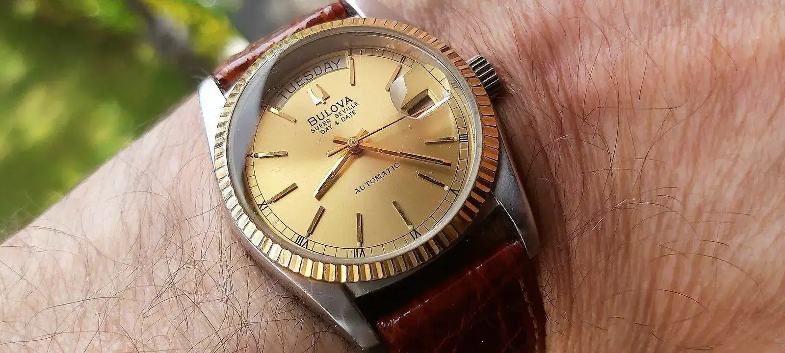 20210704_101601 (3).webp