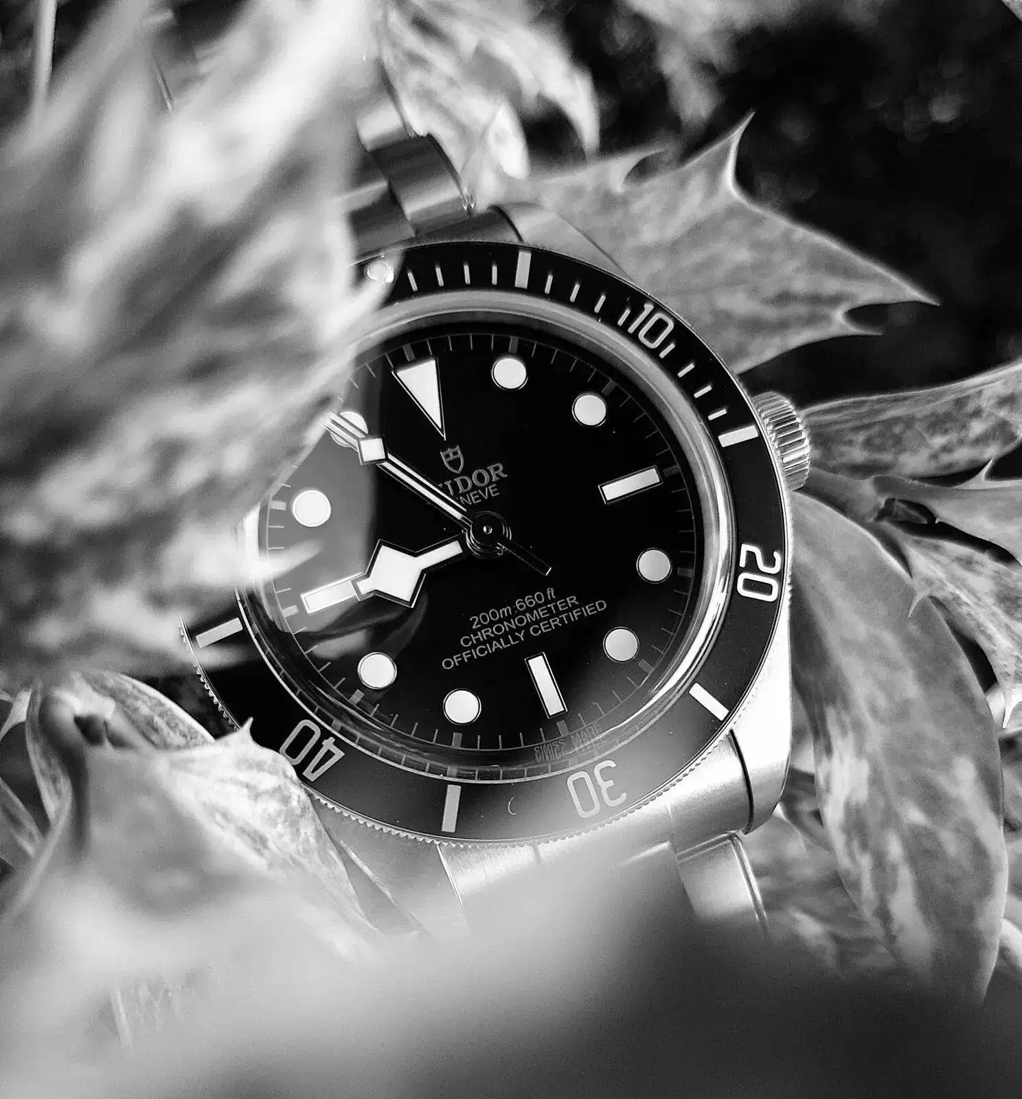 20210711_085437.webp
