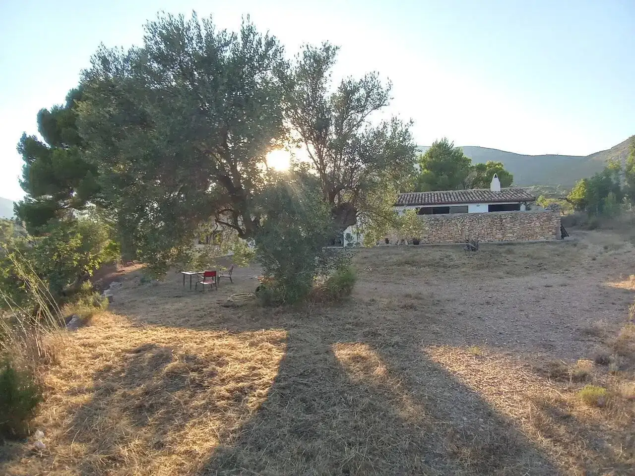 20210805_195351_HDR.webp