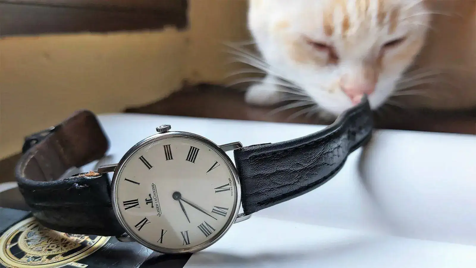 20210820_183754 (2).webp