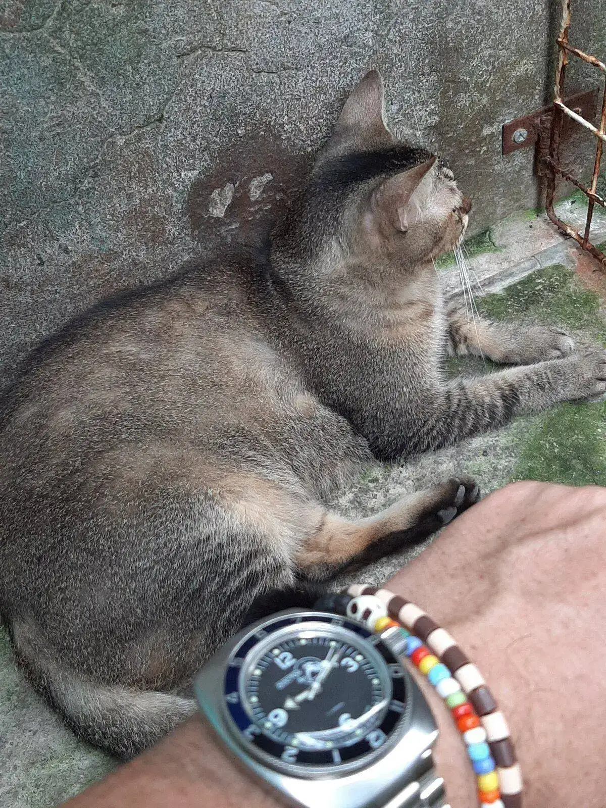 20210829_091152.jpg