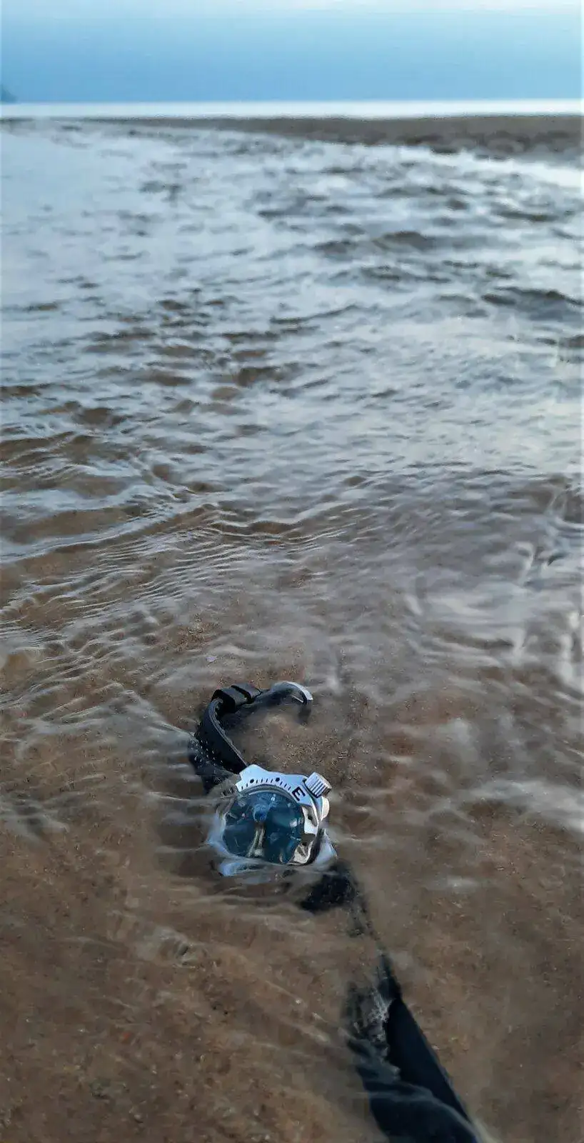 20210905_074405.webp