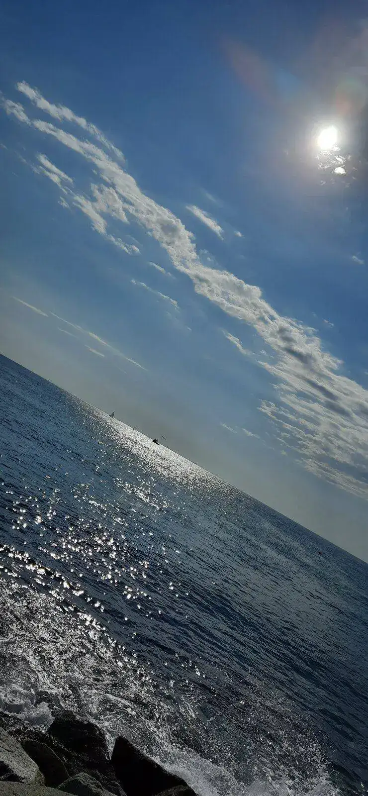 20210911_102602.jpg