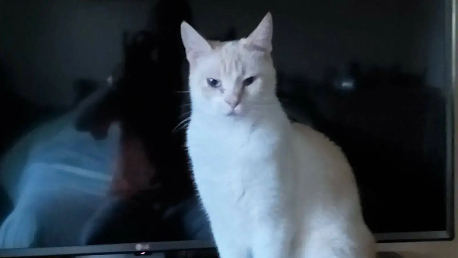 20210918_193558 (2).webp