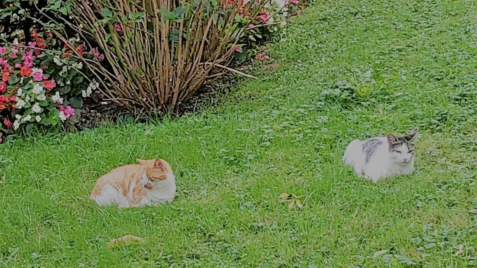 20210923_125709 (2).webp