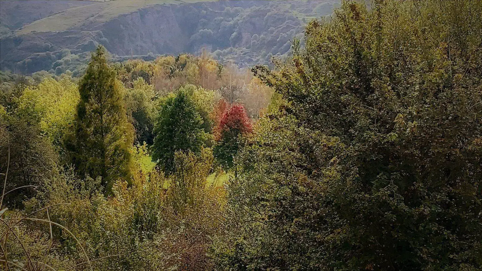 20211016_122607 (2).webp