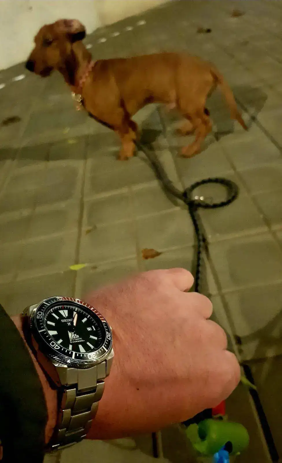 20211123_071712.webp
