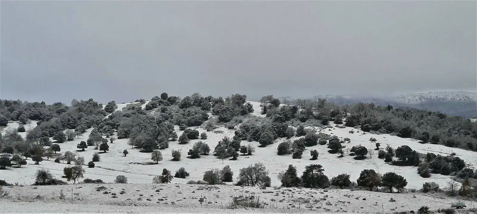 20211127_100828.webp