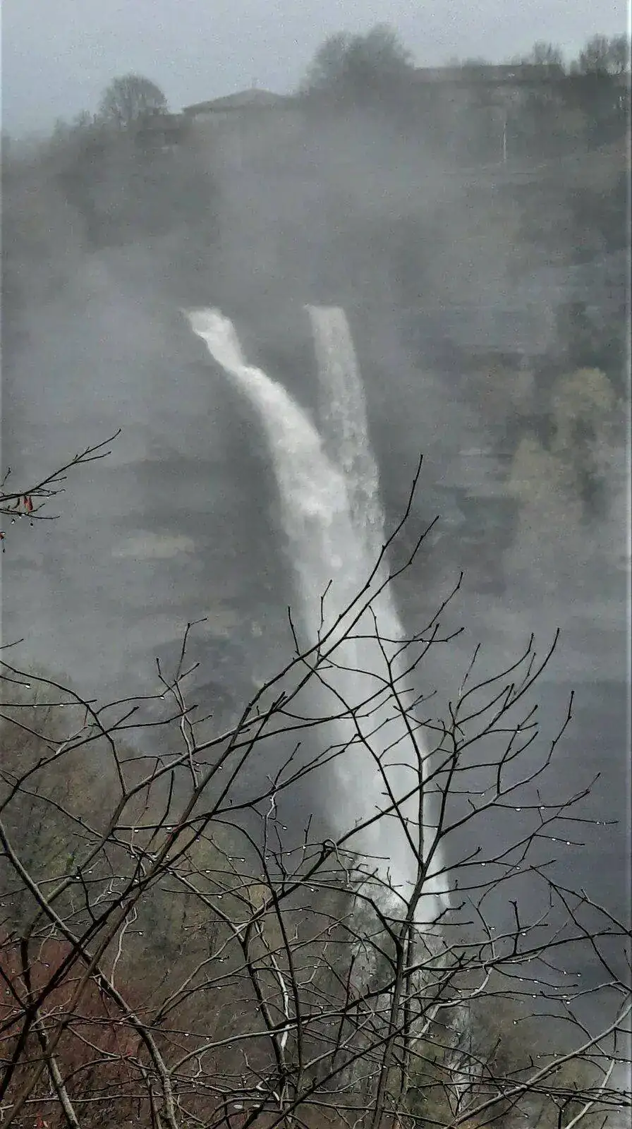20211206_094424.webp