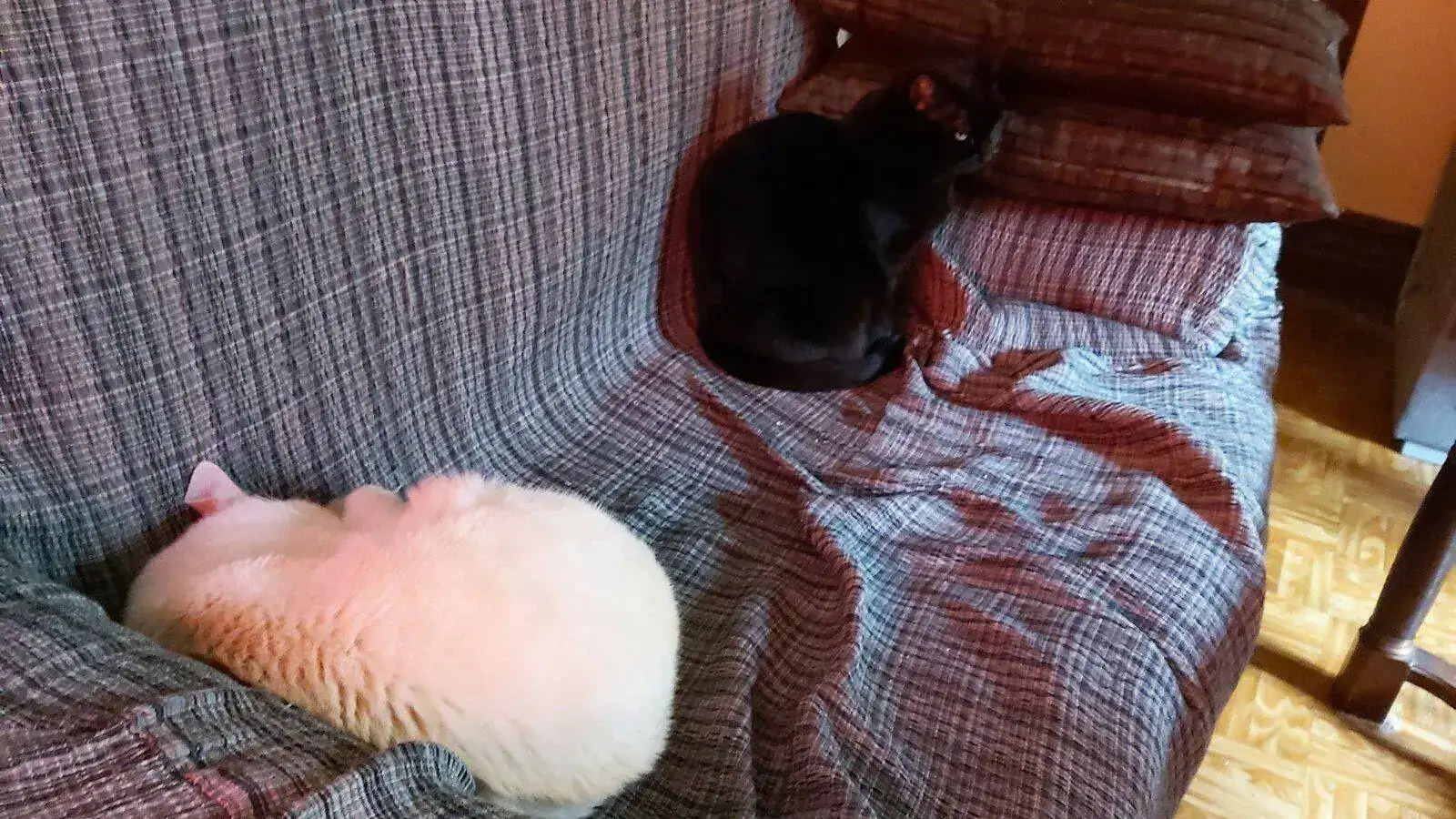 20211207_140742 (2).webp