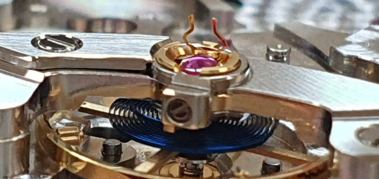 20220118_172917.jpg