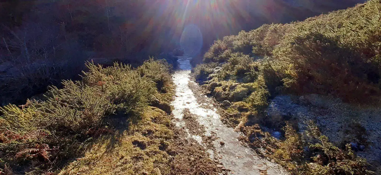 20220120_141553.jpg