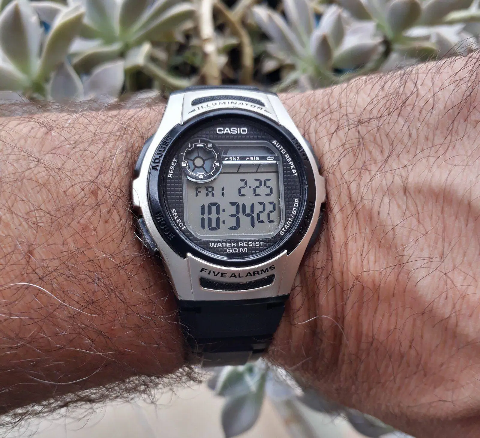 Casio w213 clearance