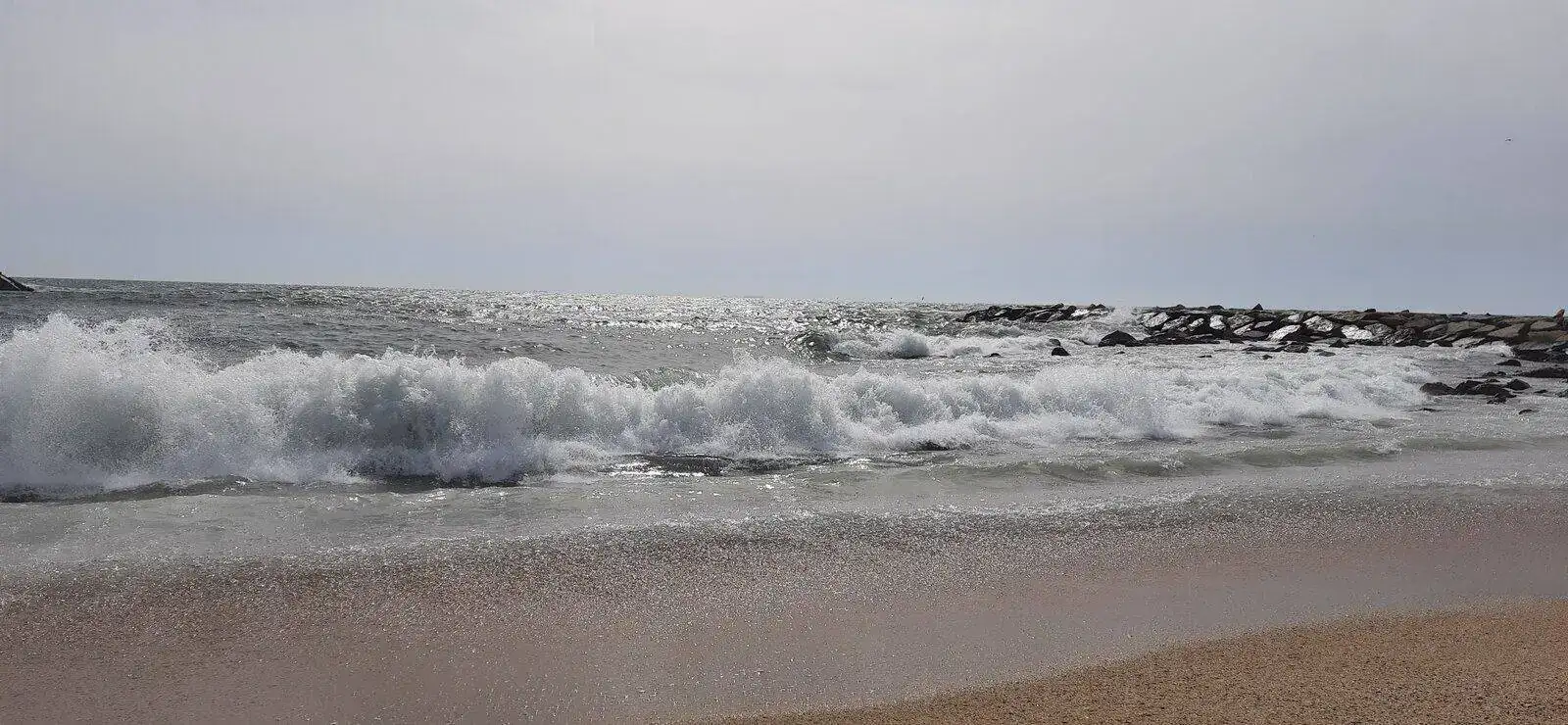 20220325_105905.jpg