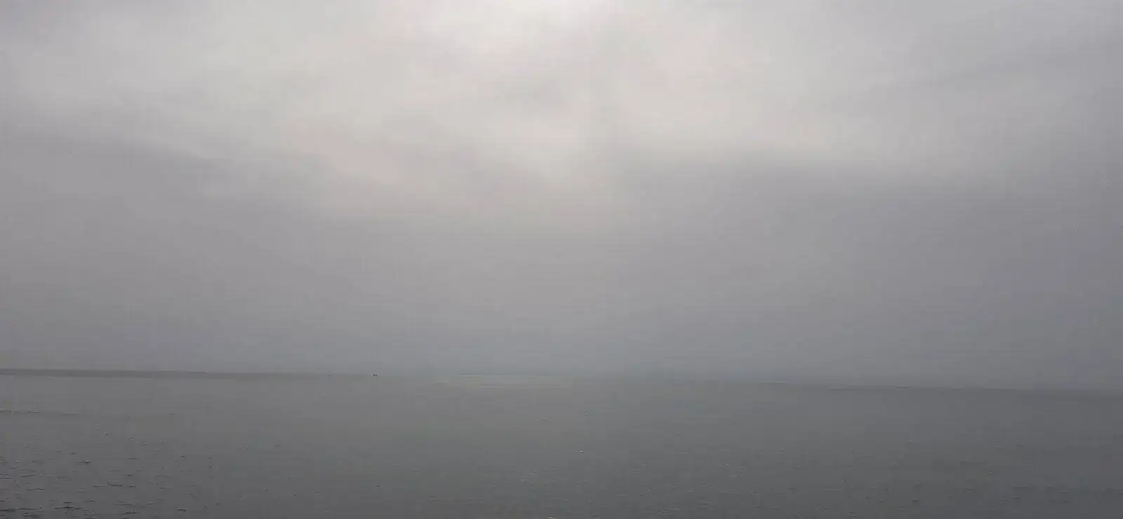 20220329_110155.webp
