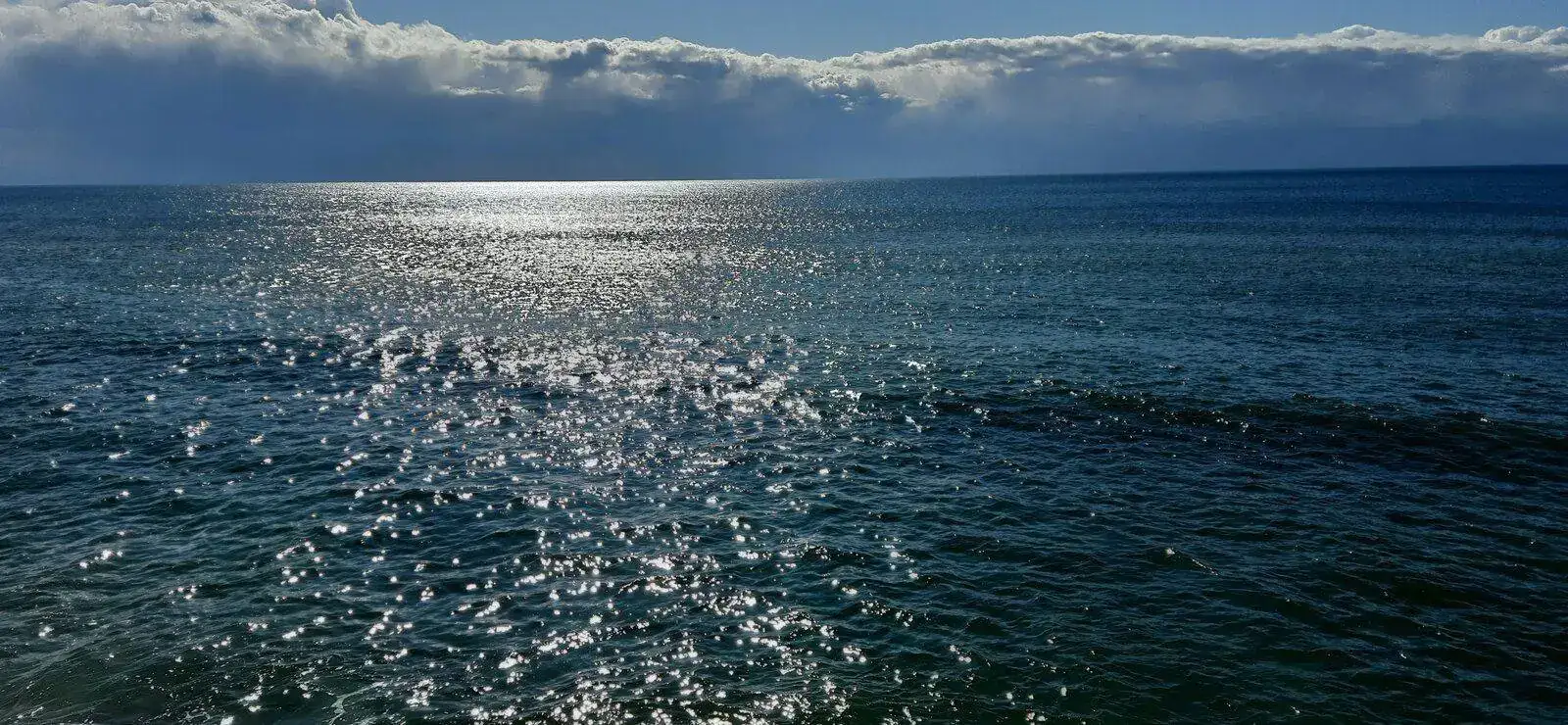 20220401_105801.webp