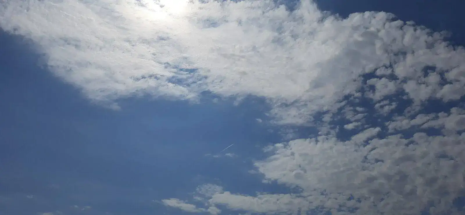 20220429_113151.jpg