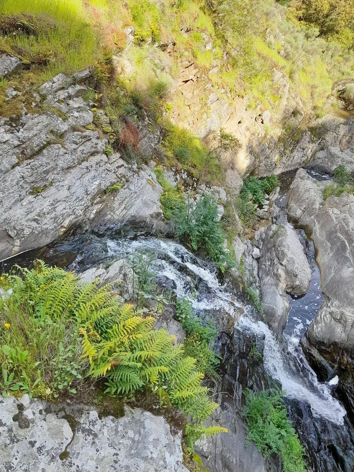 20220501_100302.webp