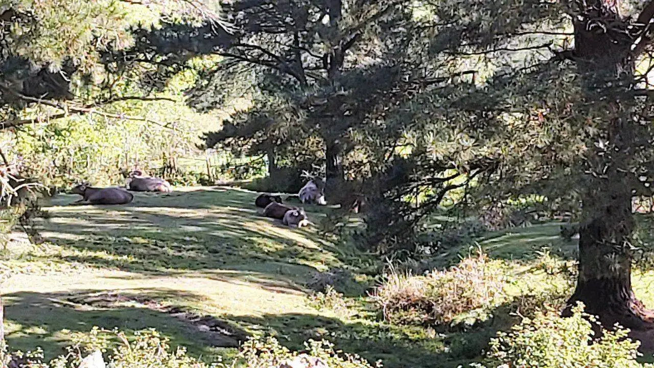 20220509_095509 (2).webp