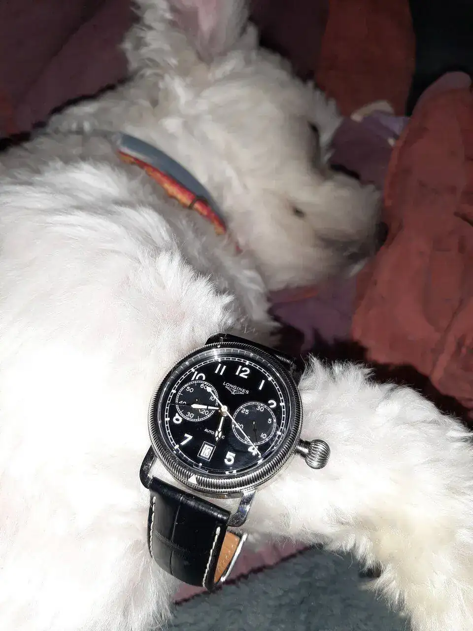 20220613_174308.jpg