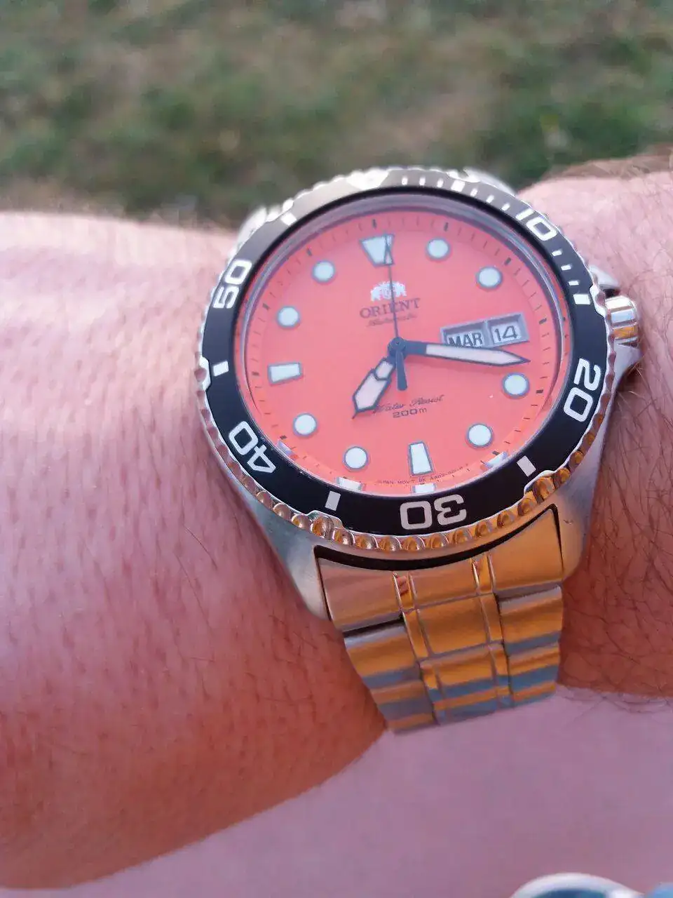 20220614_071802.webp