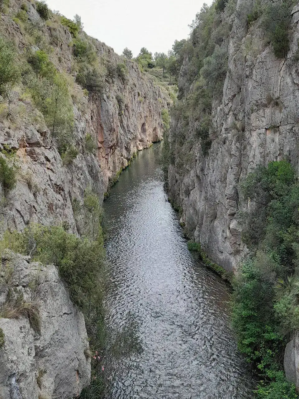 20220616_092259.webp