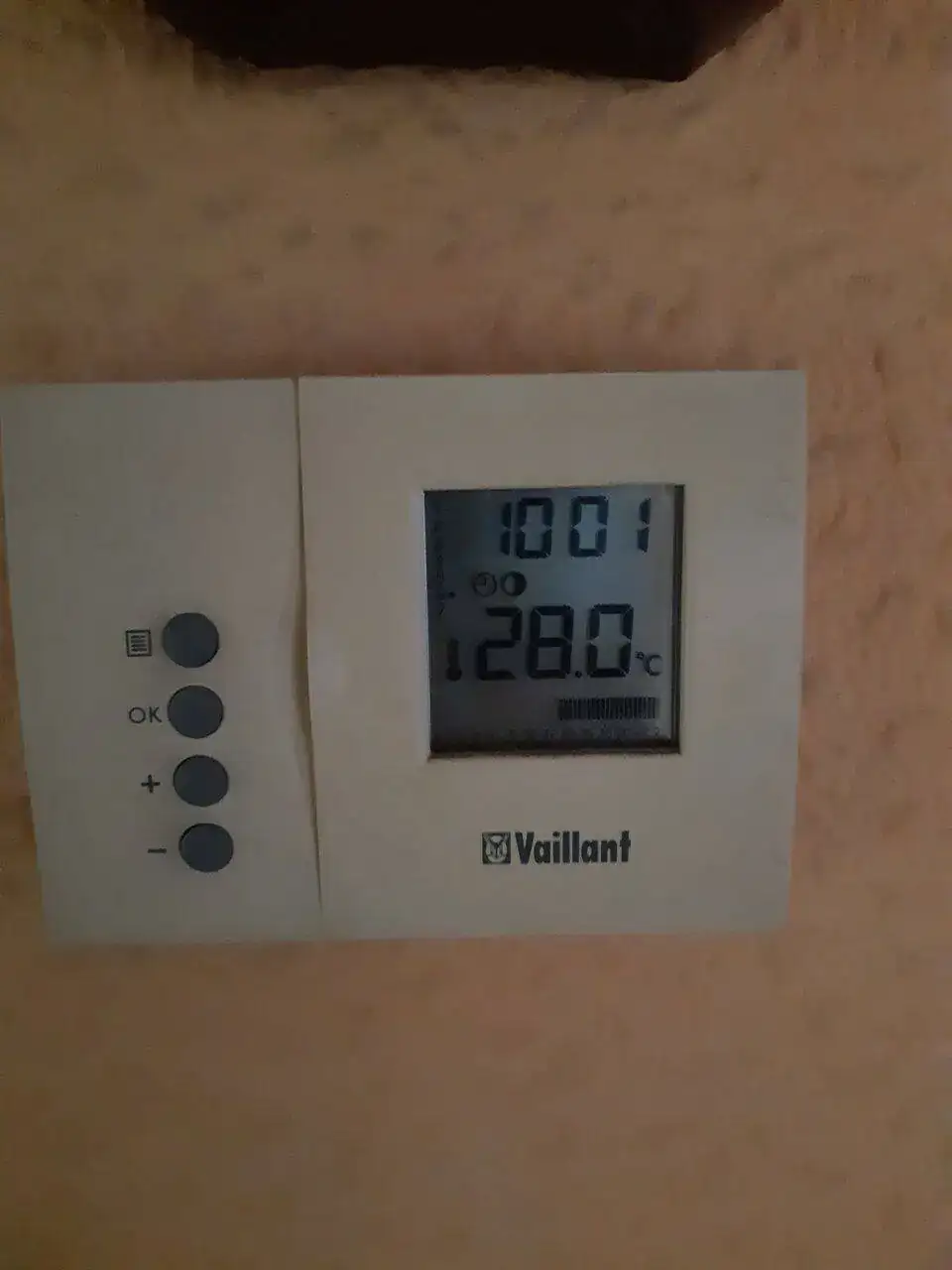 20220618_100153.jpg