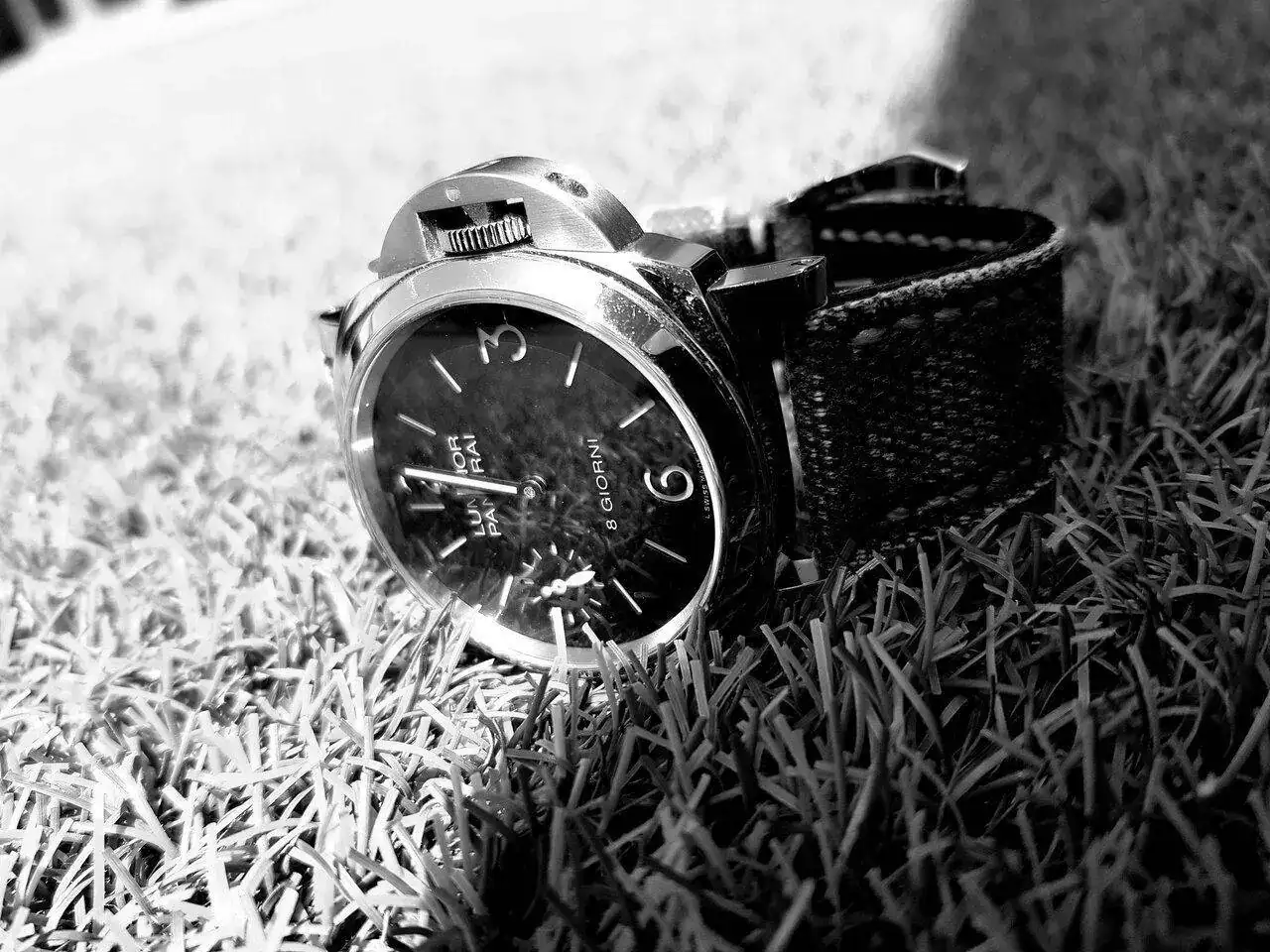20220618_120204.jpg