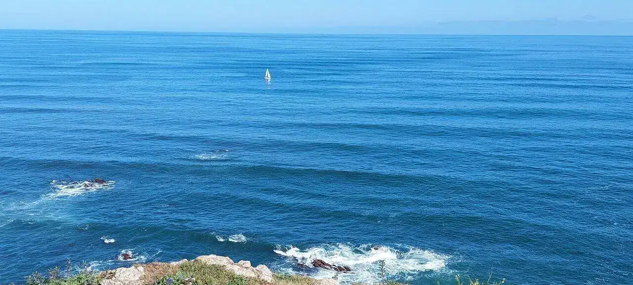 20220628_102338.jpg