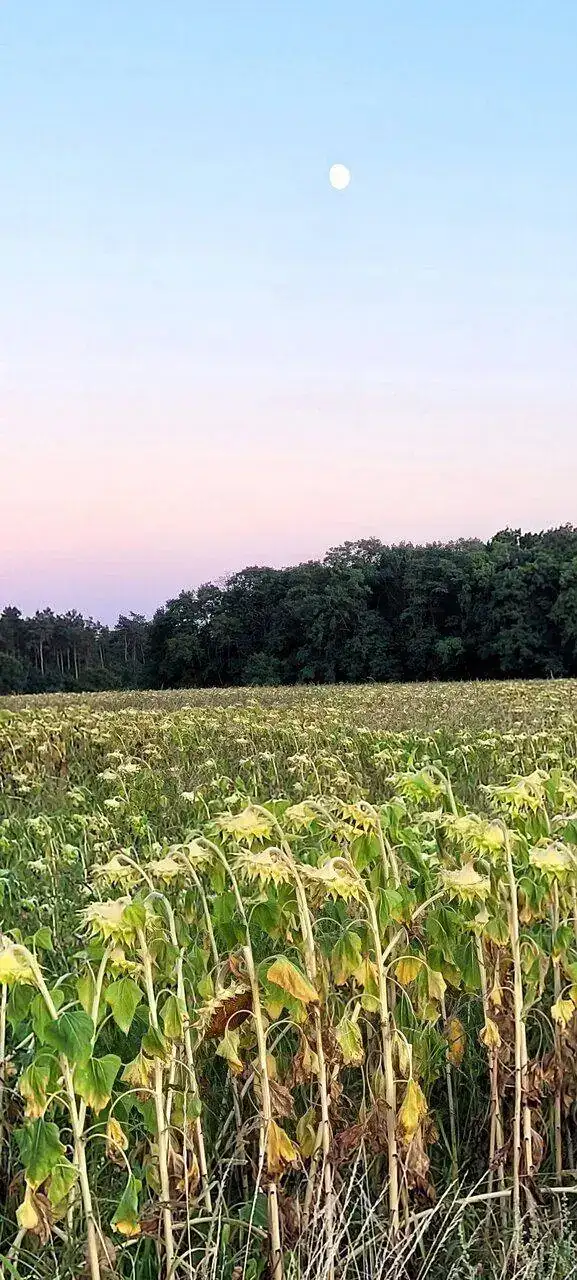 20220808_211223.jpg